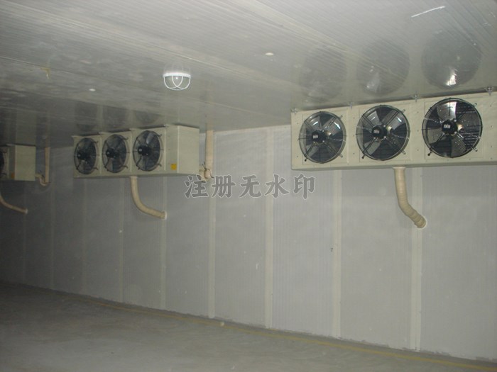 301609451314.jpg