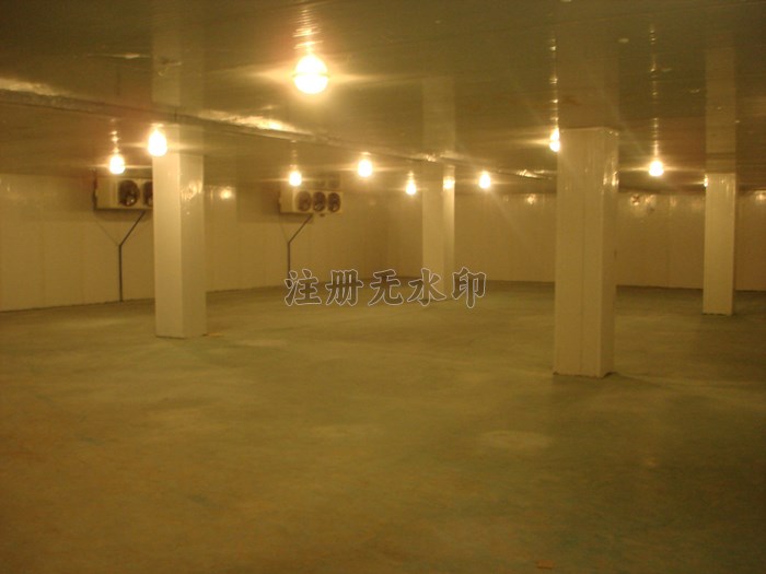 301612485212.jpg